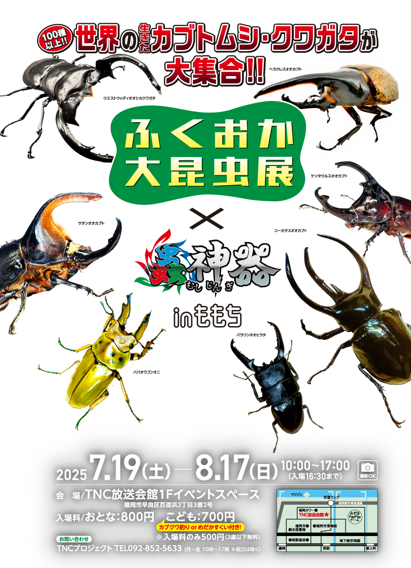 ふくおか大昆虫展×蟲神器 inももち